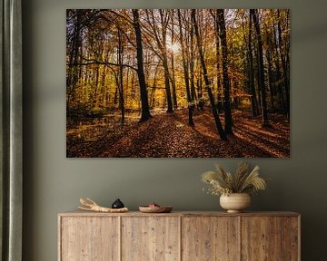 Herbst im Wald von Gaby Hendriksz