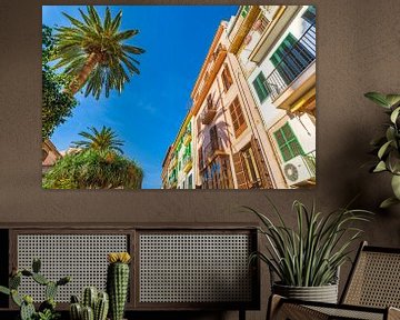 Palma de Mallorca, mediterrane Häuser mit Palmen von Alex Winter