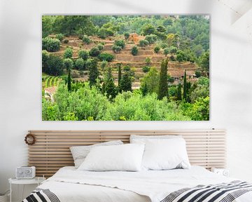 Vue sur un paysage méditerranéen de montagnes en terrasses