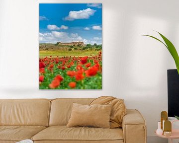 Idyllisch landschapsbeeld van rode klaproos veldbloemen van Alex Winter