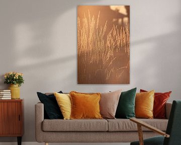 gouden grassen van Thomas Heitz