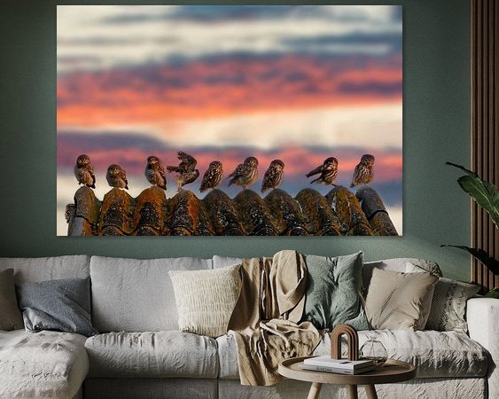 Aperçu de la chambre