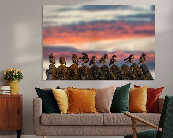 Aperçu de la chambre