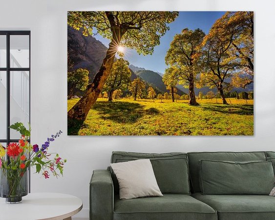 Aperçu de la chambre