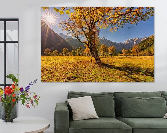 Aperçu de la chambre