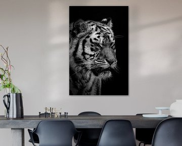 Porträt eines Tigers in schwarz-weiß