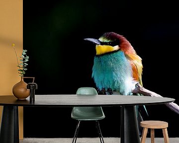 Bee-Eater by Rando Kromkamp Natuurfotograaf