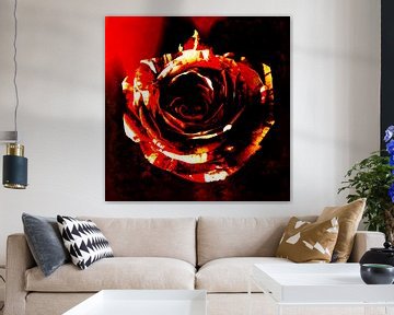 Rose on fire by Helga Blanke