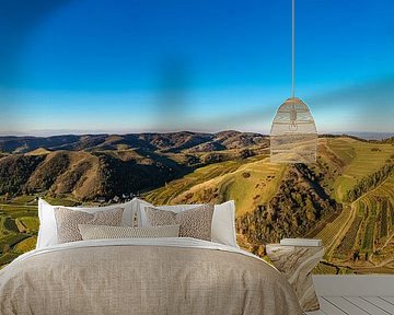 Panorama vanuit de lucht Wijngaarden in de Kaiserstuhl van Werner Dieterich