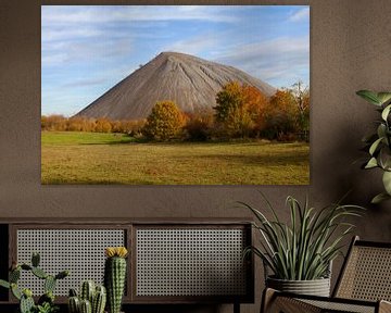 Mijnbouwlandschap in de regio Mansfeld/Zuid-Harz van t.ART