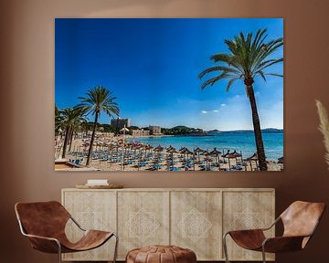 Belle plage de sable avec des palmiers sur la côte de Peguera