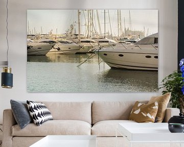 Luxury yachts at marina in Palma de Majorca, Spain by Alex Winter