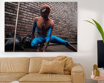 Spiderman in een steeg van Dustin Musch