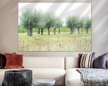 Dutch landscape with willow trees, corn and bulrush by Birgitte Bergman