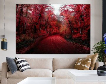 The red forest by Jacky