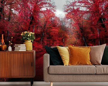 Het rode bos van Jacky