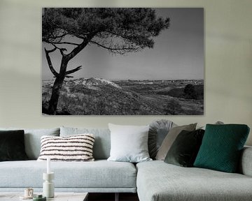 Terschelling: Baum und Insel von Erik Brons