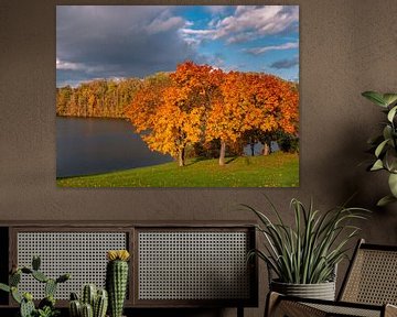 farbenfrohe Herbststimmung am See von Animaflora PicsStock