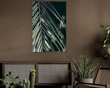 Tropisch Palmboom blad close-up | Donker groen print | Portugal Reis f van AIM52 Shop