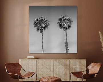 Palm idylle | Monochroom van Melanie Viola