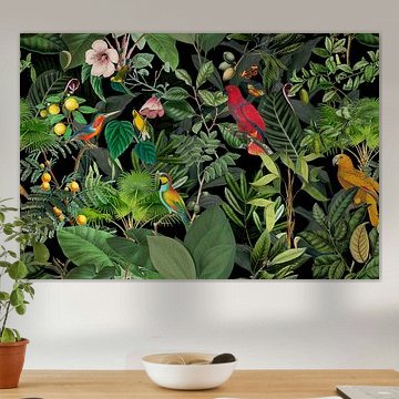 Im Tropenparadies der Vögel von Andrea Haase