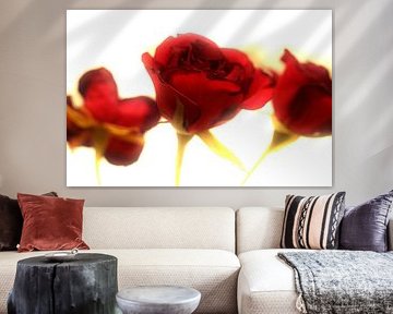 Rote Rosen
