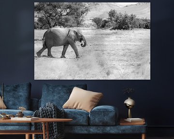 Wüstenelefant in schwarz-weiß von Tilo Grellmann | Photography