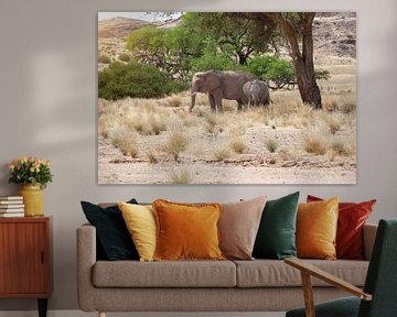 Afrikaanse olifant met jong van Tilo Grellmann | Photography