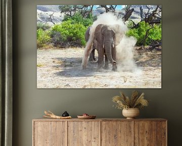 Afrikanischer Wüstenelefant