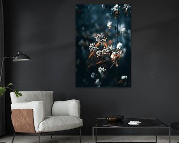 Witte bloemen met een blauwe achtergrond | Bloemen  fotografie art pri van AIM52 Shop