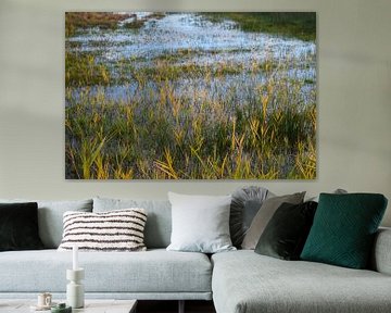 Goudgeel gras in water van moeras in een Nederlands natuurgebied van Studio LE-gals