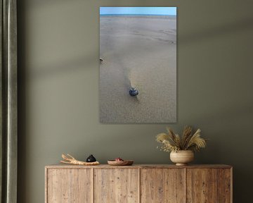 Coquillage dans le sable avec une trace dessinée par le vent et l'eau sur Studio LE-gals