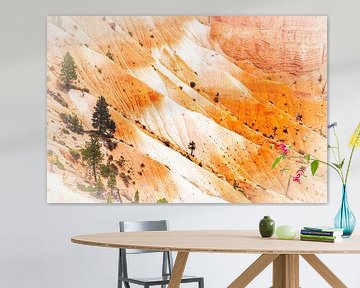 Rotsnaalden in het grote erosielandschap Bryce Canyon National Park in Utah USA van Dieter Walther