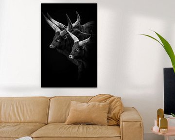 Watusian-Rinder mit großen Hörnern in Schwarz-Weiß von Marjolein van Middelkoop