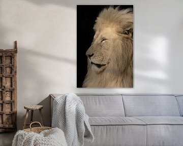 De Witte Leeuw van Foto Studio Labie