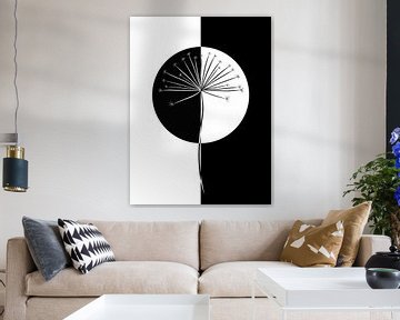 Hogweed / dandelion - black and white by Studio Malabar