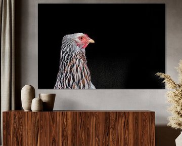Portret van een Brahma kip zalm gekleurd van Jolanda de Jong-Jansen