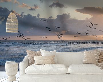 Good morning Zeeland! by Marjolijn van den Berg