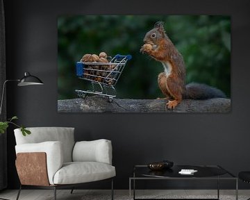 Squirrel with shopping cart full of nuts. by Albert Beukhof