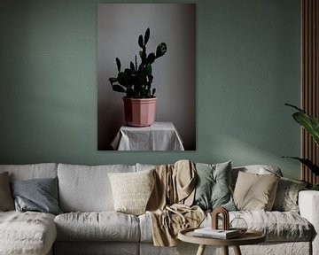 Still life of cactus in pink pot by Lilian Bisschop