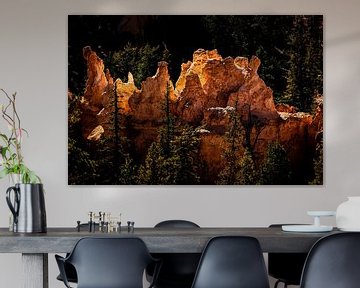 gloeiende hoodoos bij Bryce Canyon National Park in Utah USA van Dieter Walther