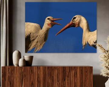 Stork Chatter van Lynlabiephotography