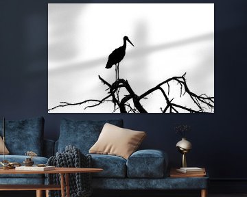 Die Schatten eines Storches von Foto Studio Labie