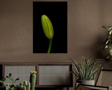 Into the dark Flower bud portrait van Foto Studio Labie