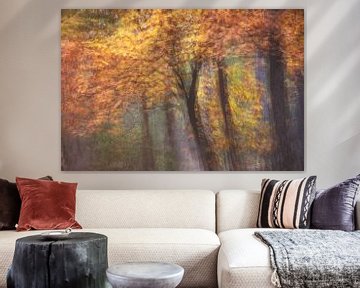 Herfstbos colorfull