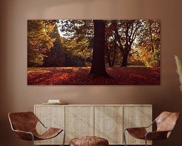 Herfst panorama