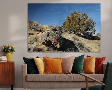 De-na-zin wildernis gebied- versteend hout, Bisti Badlands, New Mexico USA van Frank Fichtmüller
