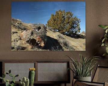 Aire de nature sauvage de De-na-zin - bois pétrifié, badlands de Bisti, Nouveau Mexique USA sur Frank Fichtmüller