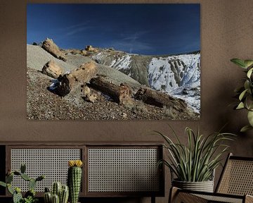 De-na-zin wildernis gebied- versteend hout, Bisti Badlands, New Mexico USA van Frank Fichtmüller