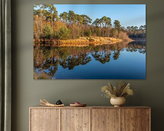 Aperçu de la chambre